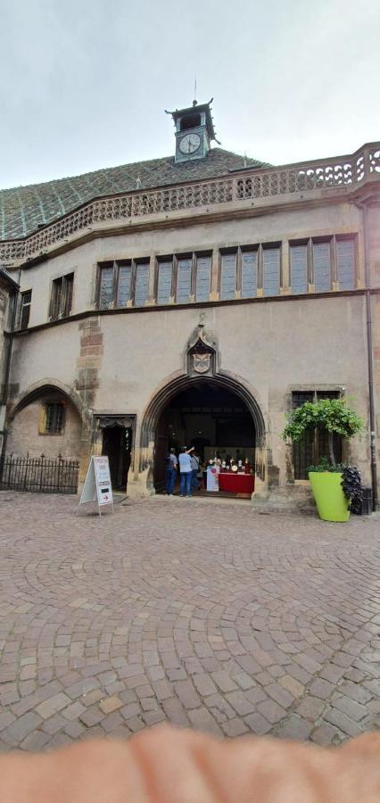 Le Blue St Leon : 2 Pieces Cozy Lit King Size Wifi * Colmar